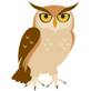 animals,birds,fables,nature,nocturnal,owls,transparent background,wisdom,wises